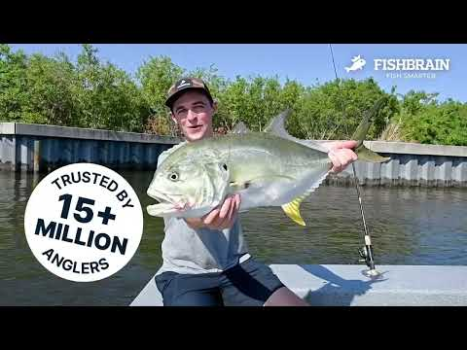 Descargar Fishbrain Pronósticos de pesca Deporte para Android captura de pantalla 8