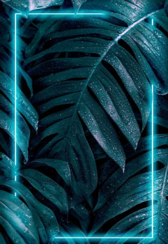 Descargar Samsung Galaxy S23 Ultra Entretenimiento para Android captura de pantalla 4