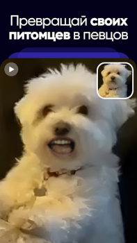 Descargar Revive - IA Animacion de Fotos Entretenimiento para Android captura de pantalla 5