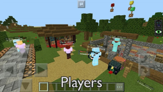 Descargar Servers for Minecraft PE Tools Herramientas para Android captura de pantalla 3