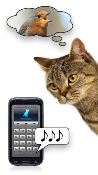 Descargar Voces felinas - ¡Juega con tu Entretenimiento para Android captura de pantalla 3