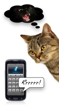 Descargar Voces felinas - ¡Juega con tu Entretenimiento para Android captura de pantalla 7