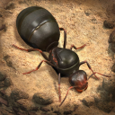 Descargar  The Ants: Underground Kingdom