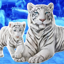 Descargar  Juegos de tigre blanco