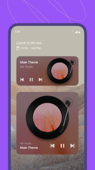 Descargar MD Vinyl:Reproductor de Música Música y audio para Android captura de pantalla 5
