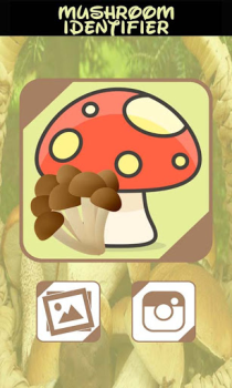 Descargar Identificador automatico Setas Entretenimiento para Android captura de pantalla 2
