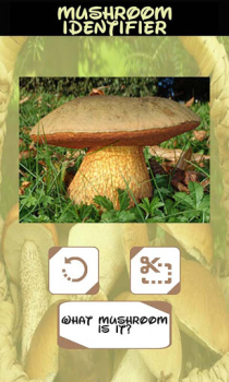 Descargar Identificador automatico Setas Entretenimiento para Android captura de pantalla 3