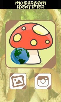 Descargar Identificador automatico Setas Entretenimiento para Android captura de pantalla 5