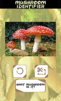 Descargar Identificador automatico Setas Entretenimiento para Android captura de pantalla 6