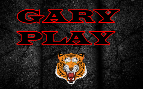 Descargar Gary play Entretenimiento para Android captura de pantalla 4