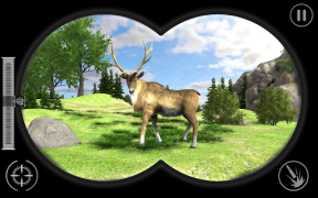 Descargar Real Jungle Animals Hunting Juegos de acción para Android