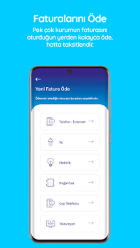 Descargar OlduBil Finanzas para Android captura de pantalla 5