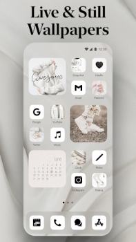 Descargar Themify・Iconos, Temas, Widgets Personalización para Android captura de pantalla 6
