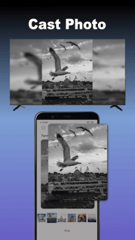 Descargar Espejo de pantalla para TV Editores y reproductores de video para Android captura de pantalla 5