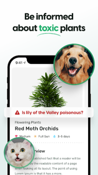 Descargar Plant App - Buscador de Planta Educación para Android captura de pantalla 4