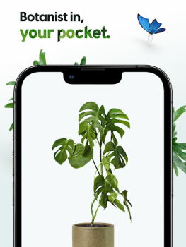 Descargar Plant App - Buscador de Planta Educación para Android captura de pantalla 7