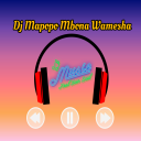Descargar  DJ Mapopo mbona Syalala Remix