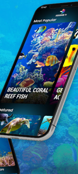 Descargar Aquariums TV Foto para Android captura de pantalla 3