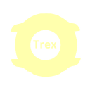 Descargar  Amazfit T Rex / 2 / Pro WFace