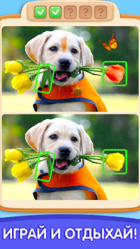 Descargar Can You Spot It: Differences Rompecabezas para Android captura de pantalla 3