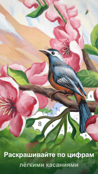 Descargar Colorswipes® - Color by Number Juegos de mesa para Android captura de pantalla 2