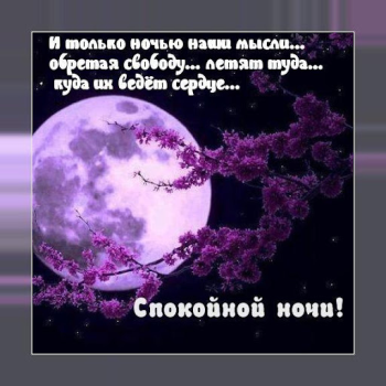 Descargar Спокойной ночи и Cладких снов Social para Android captura de pantalla 7