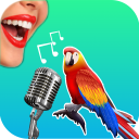 Descargar  Bird Translator Simulator App