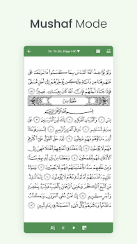 Descargar Quran (Tafsir y por palabra) Libros y referencia para Android captura de pantalla 3