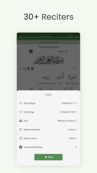 Descargar Quran (Tafsir y por palabra) Libros y referencia para Android captura de pantalla 5