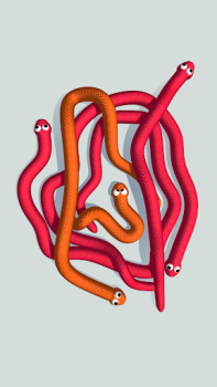 Descargar Tangled Snakes Rompecabezas para Android captura de pantalla 6