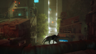 Descargar Stray Cat Simulator Mobile Simuladores para Android captura de pantalla 2