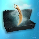 Descargar  Standoff Case Sim