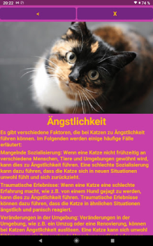 Descargar Katzen Clicker Training Light Vivienda y hogar para Android captura de pantalla 7