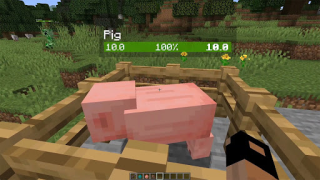 Descargar Neat Mod Minecraft Entretenimiento para Android captura de pantalla 2
