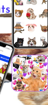 Descargar Memes Pegatinas Gatos Comunicación para Android captura de pantalla 4