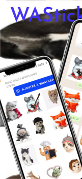Descargar Memes Pegatinas Gatos Comunicación para Android captura de pantalla 6