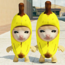 Descargar  Banana Cat