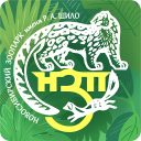 Descargar  Зоопарк Нск