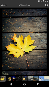 Descargar ACDSee Mobile Sync Foto para Android captura de pantalla 7