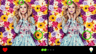Descargar Encuentra la diferencia 1000+ Rompecabezas para Android captura de pantalla 6