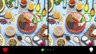 Descargar Encuentra la diferencia 1000+ Rompecabezas para Android captura de pantalla 7