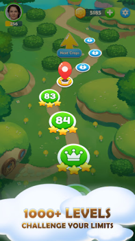 Descargar Skip-Bo Juegos de mesa para Android captura de pantalla 4
