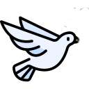 Descargar  White Bird
