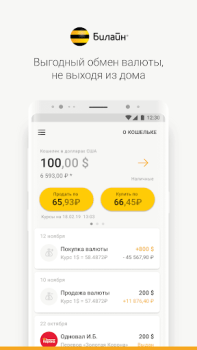 Descargar Карта Билайн Finanzas para Android captura de pantalla 6