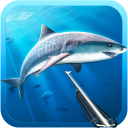 Descargar  La caza submarina. Buceo.
