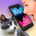 Descargar  Gato Traductor Miau Hablar