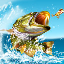 Descargar  Pocket Fishing