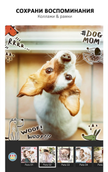 YouCam Perfect: Editor Fotos