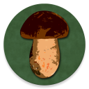 Descargar  Book of Mushrooms