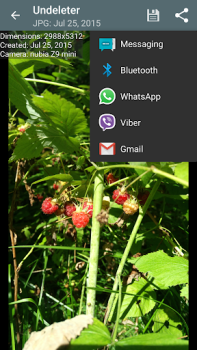 Descargar Undeleter: borrado de archivos Herramientas para Android captura de pantalla 4